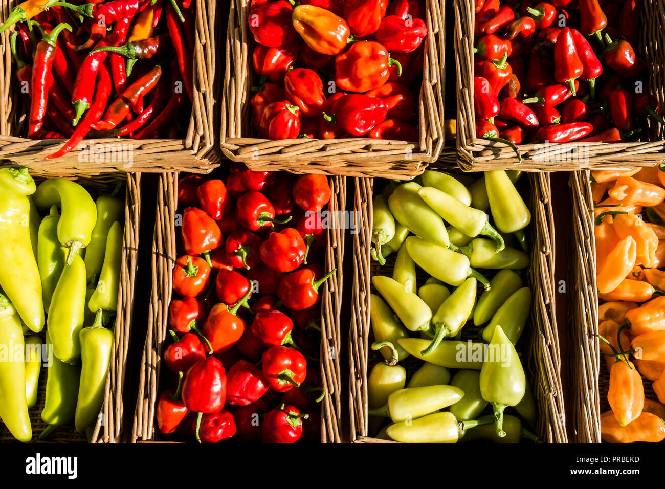 Eine Vielzahl von frischen chilis auf einem Marktstand. Stockfoto
