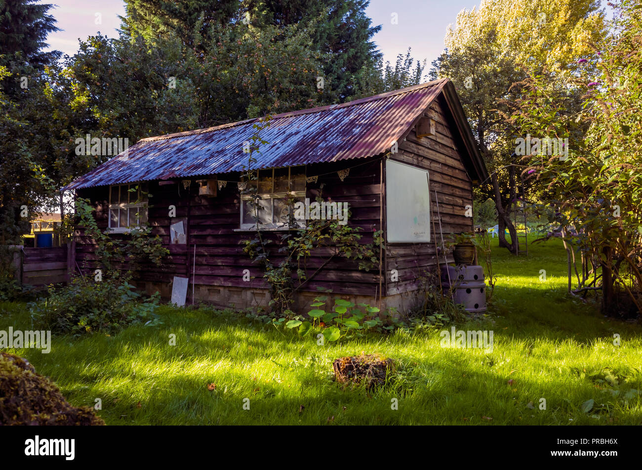 Großes altes Holz gebaut Gartenhaus mit einem Wellblechdach in North Yorkshire Obstgarten im Herbst Stockfoto