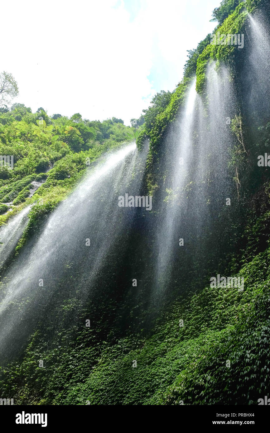 Die schöne Madakaripura Wasserfall, natürlichen Blick von Ost Java, Indonesien. Es ist der größte Wasserfall in Indonesien. Stockfoto
