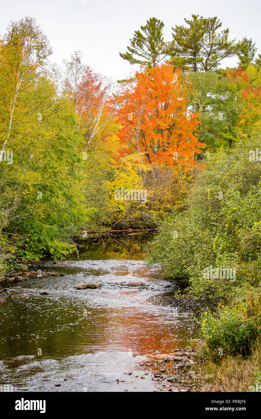 Stream im Herbst mit bunten Bäumen Stockfoto