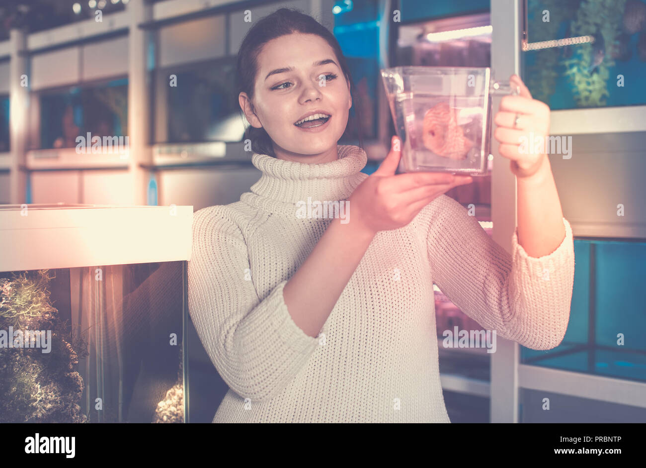 Gerne russische Mädchen, dass Kunststoffbehälter mit großen bunten Fische züchten Diskus im Aquarium shop Stockfoto