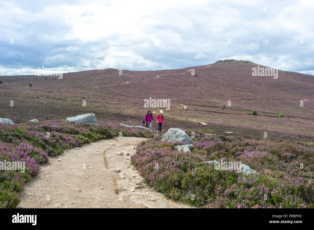 Bennachie Aberdeenshire Schottland, Wanderer auf dem Pfad zwischen den Ochsen Craig und Mither Tippen Stockfoto
