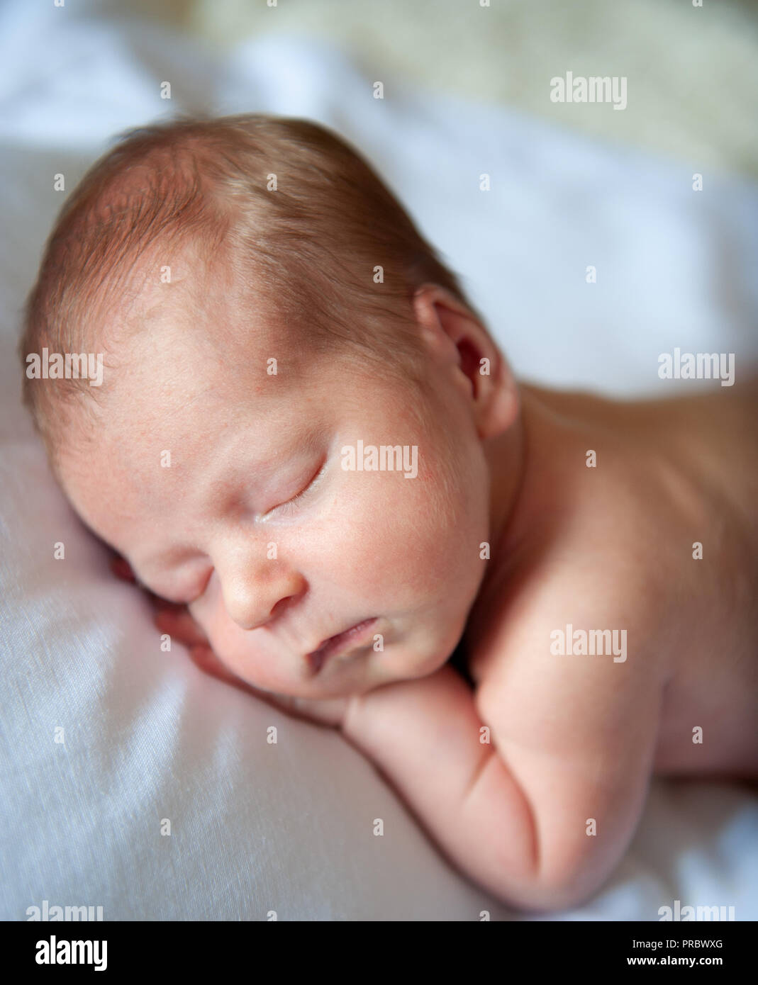 Neugeborenes Baby friedlich schläft in seinem Zimmer Stockfoto