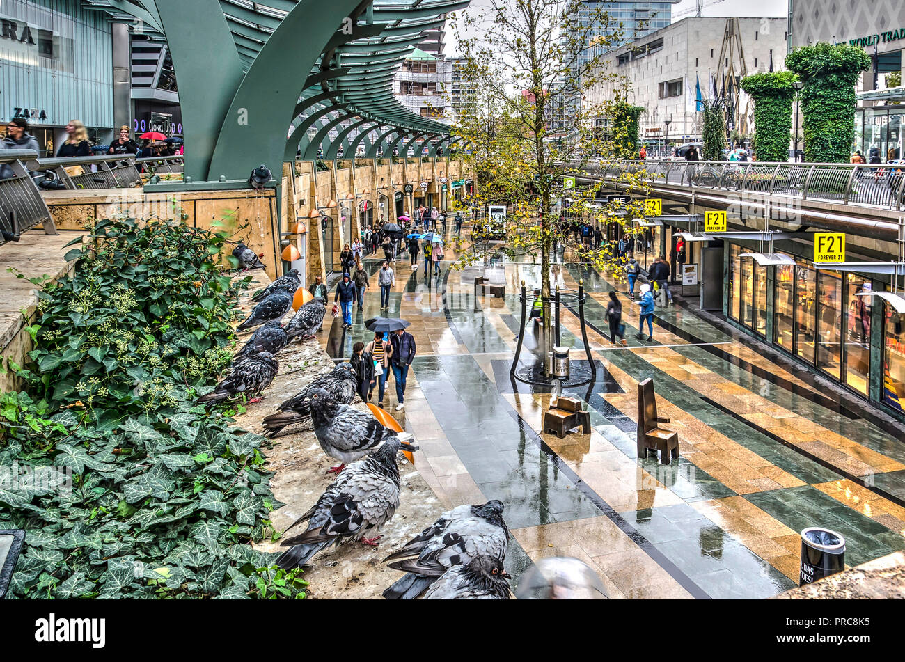 Rotterdam, Niederlande, 22. September 2018: die Tauben ruhen, während die Käufer mit Sonnenschirmen durch Koopgoot Einkaufszentrum an einem regnerischen Tag zu Fuß Stockfoto