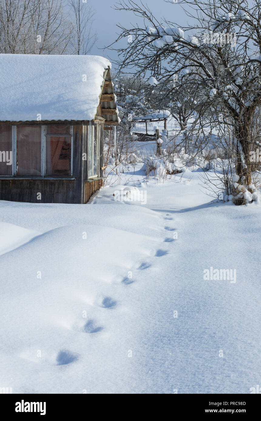 Winter Landschaft mit abgebrochenen Sommer kleines Haus mit Schnee bedeckt und Spuren im Schnee Stockfoto
