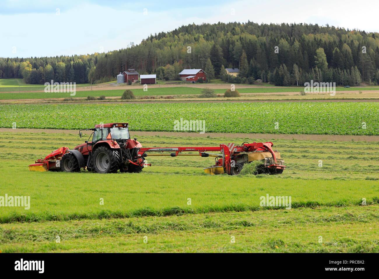 Salo, Finnland - 23 September, 2018: Bauer schneidet das Heu, das auf Ackerland mit NOVACAT T gezogene Scheibenmäher von Case IH CS120 Traktor an einem schönen Tag gezogen. Stockfoto