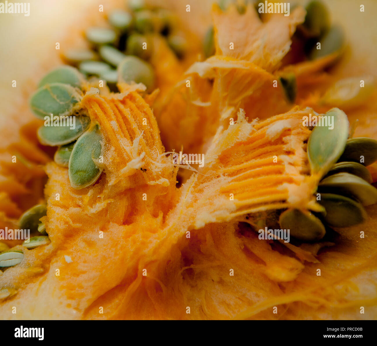 Orange Kürbis close-up. In der Ansicht von oben. Stockfoto