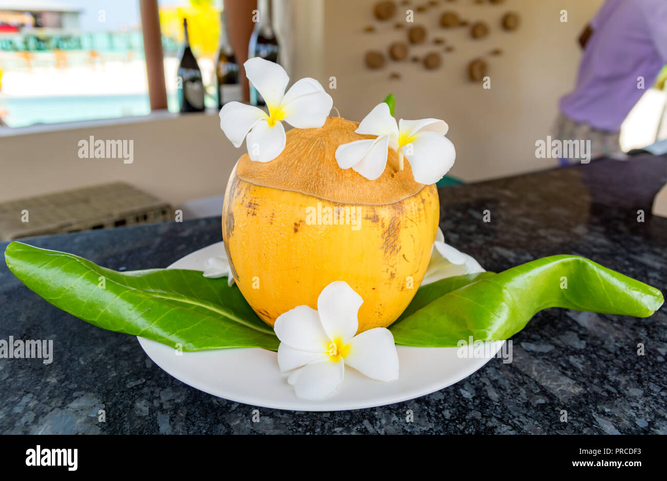 Dekoriert gelbe Kokosnuss, stehend auf einem Zähler einer Pool Bar in einem Resort auf den Malediven. Stockfoto