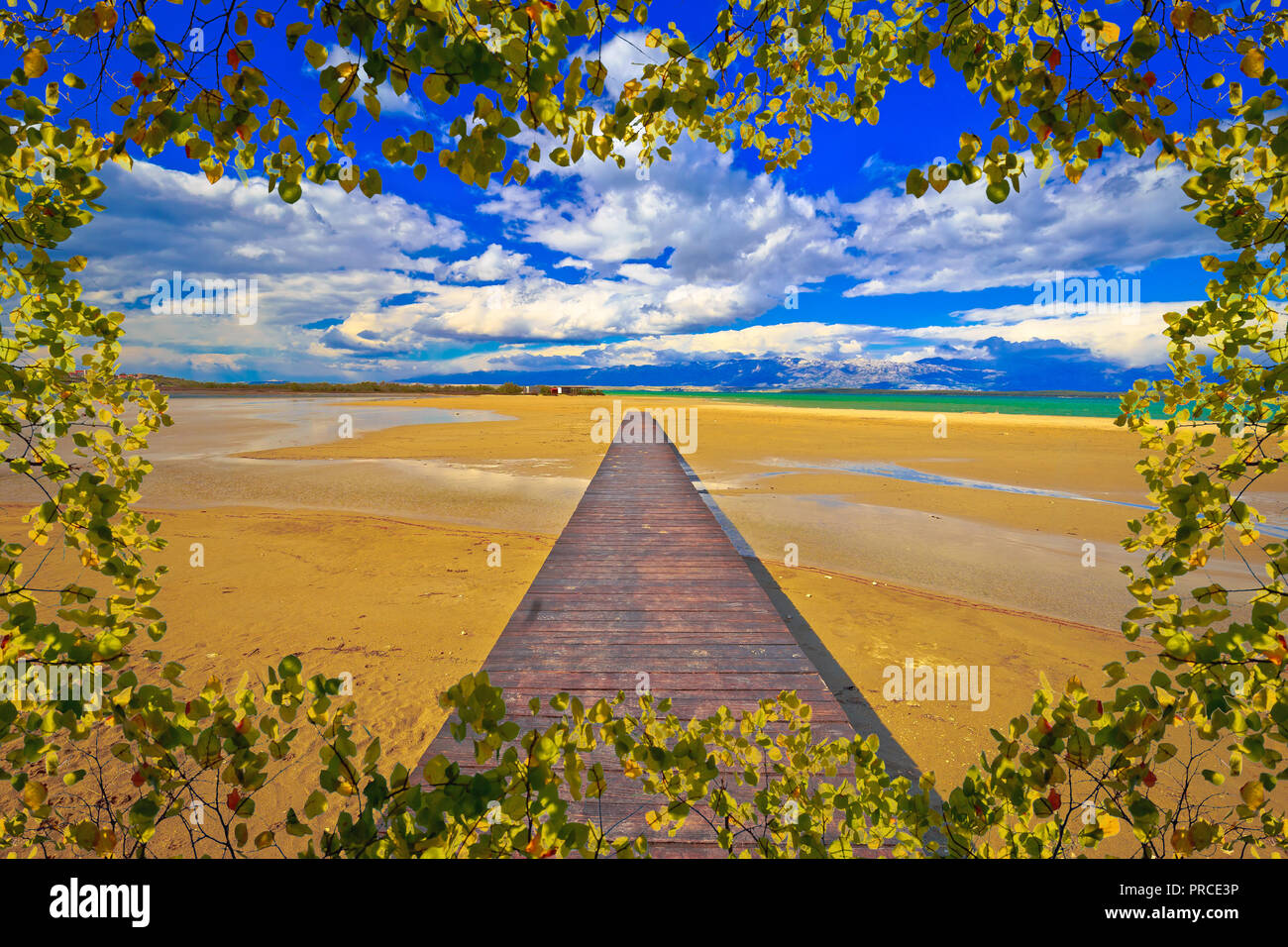 Holz- Promenade und Sandstrand von Nin Blick durch Blätter frame, Dalmatien, Kroatien Stockfoto