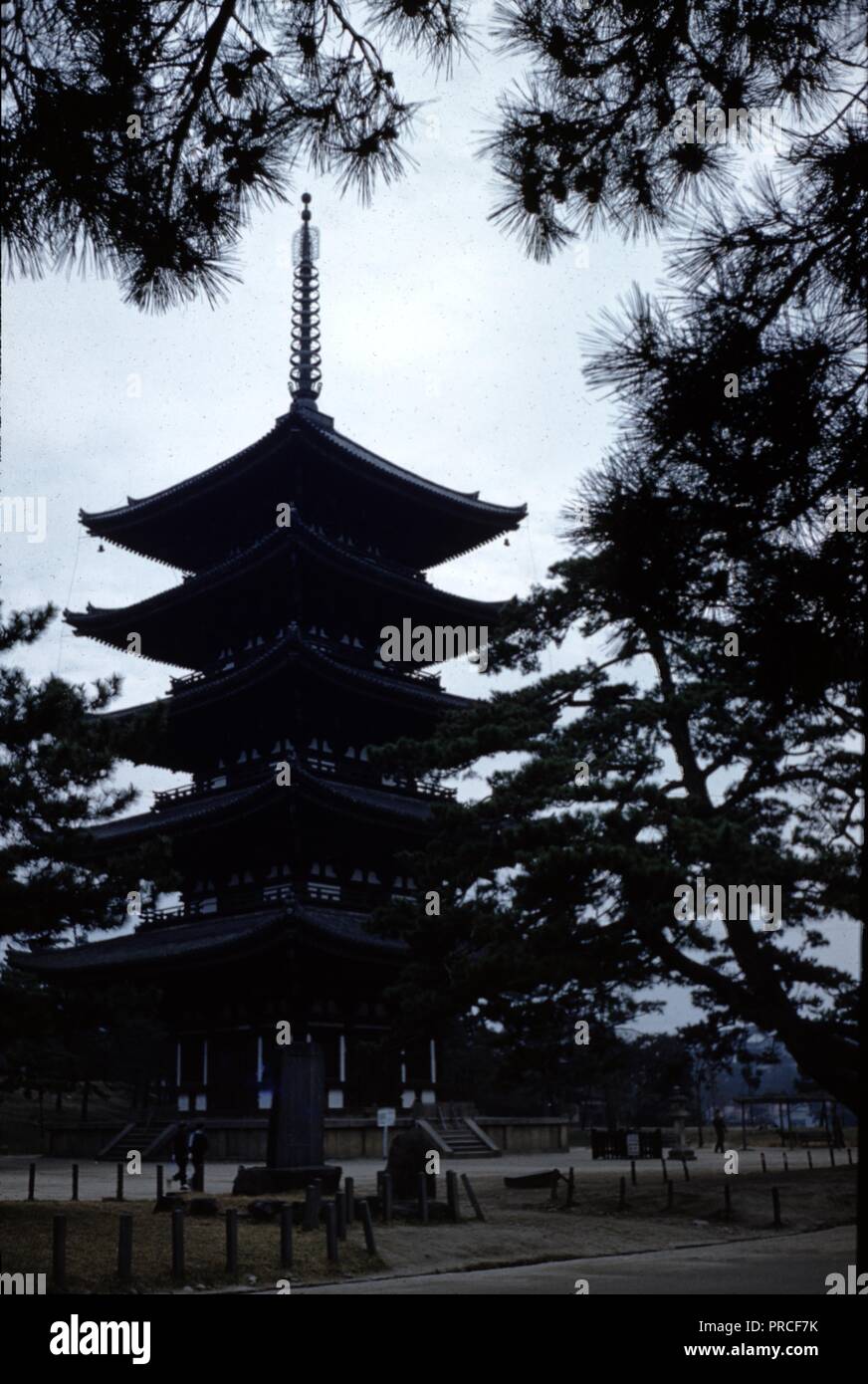 Farbfoto, einer Pagode mit einem 5-stufigen Dach, mit zwei Stelen, Menschen zu Fuß, und die Zweige der Tannen im Vordergrund sichtbar, in Japan, 1965. () Stockfoto