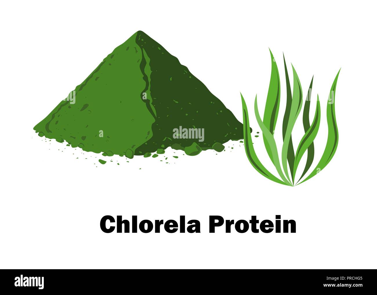 Spirulina und spirulina Pulver. Vector Illustration. Stock Vektor