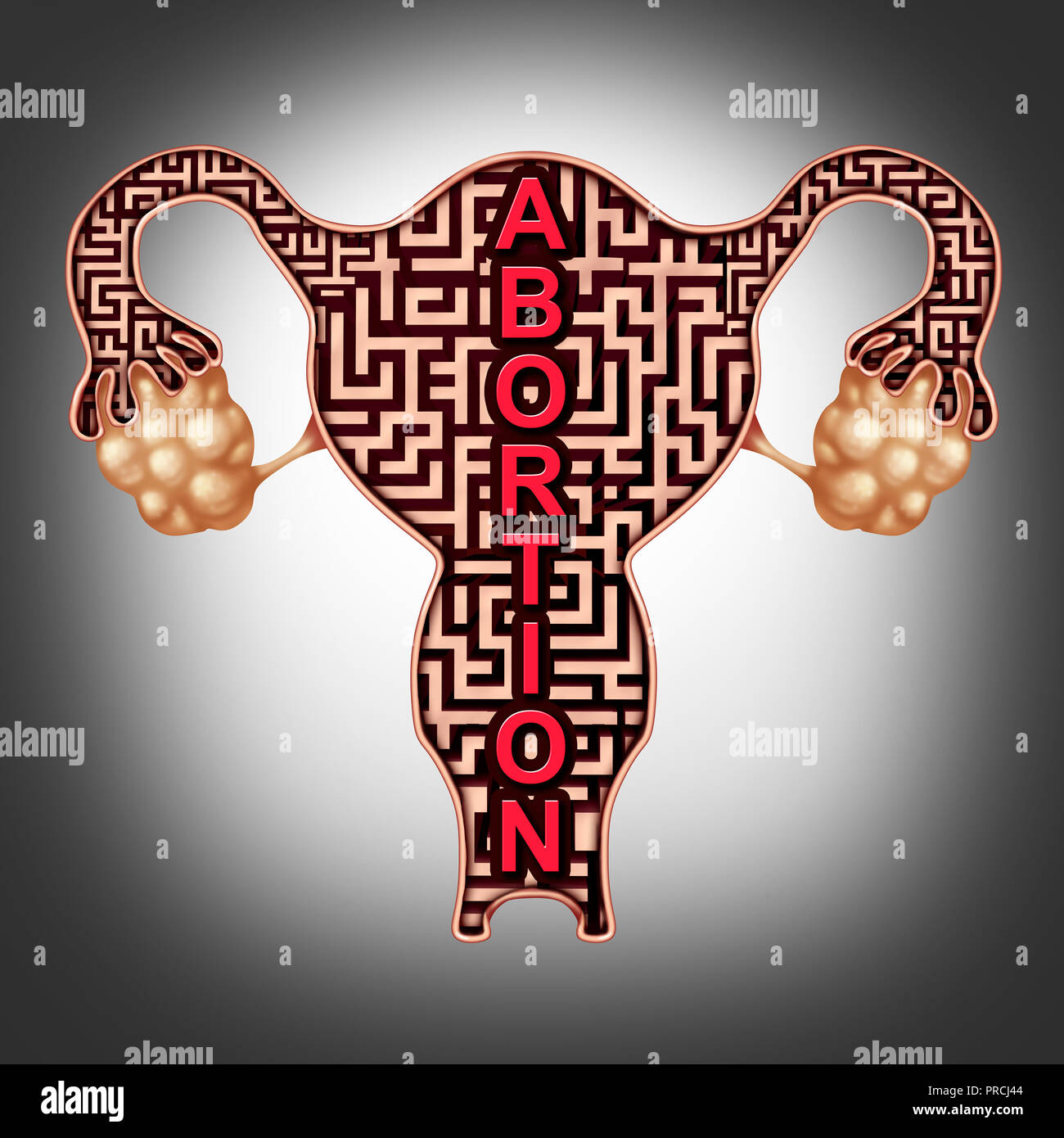 Abortus oder medizinisches Konzept als Fötus Symbol in einer Schwangeren menschlichen Uterus als Labyrinth als reproduktive Gesundheit Metapher. Stockfoto
