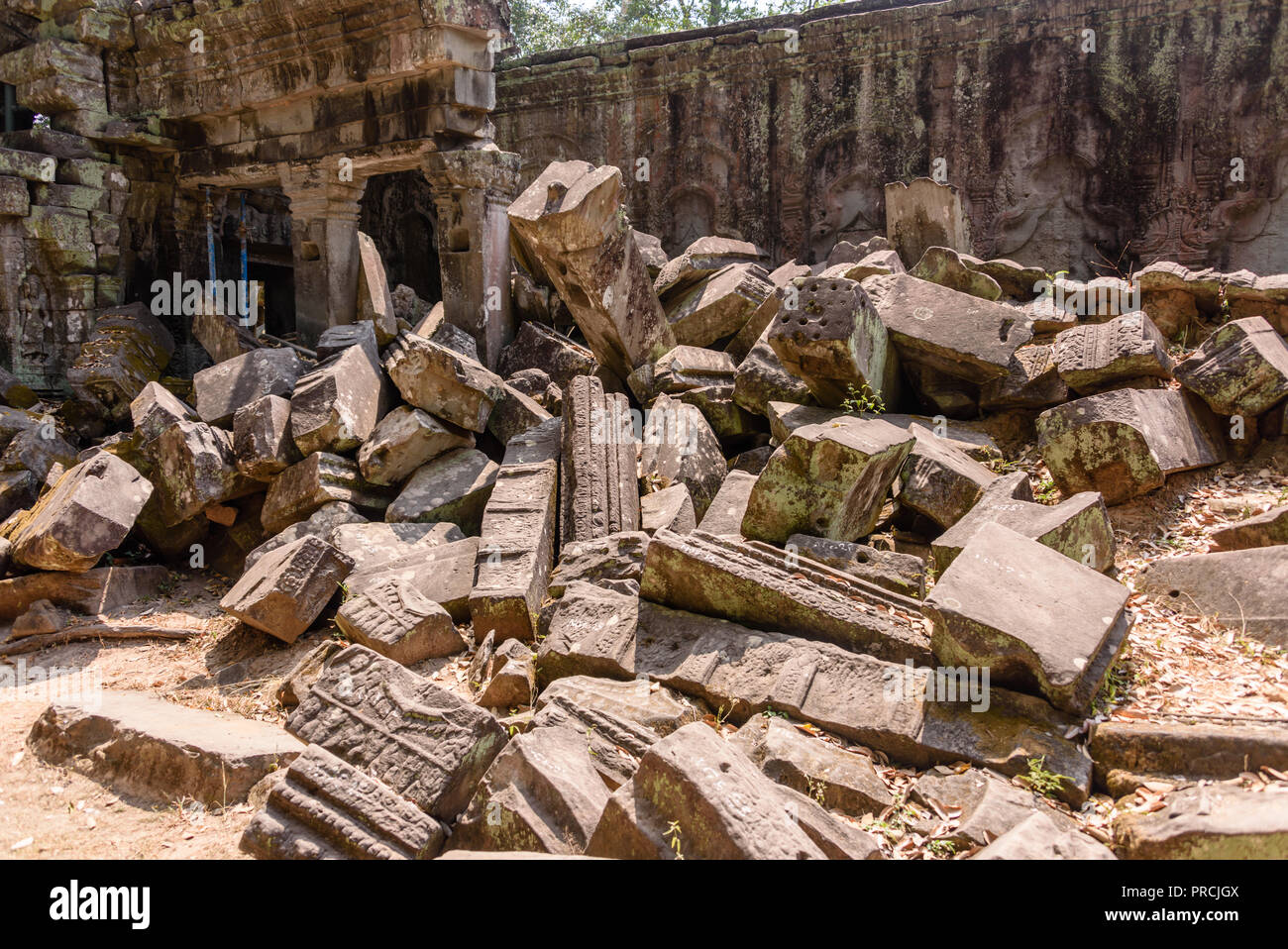Metal Gerüst bieten Unterstützung für Wände wie die Wurzeln eines riesigen Baumes drohen zu ruinieren und übernehmen die UNESCO-Weltkulturerbe von ankor Thom, Stockfoto