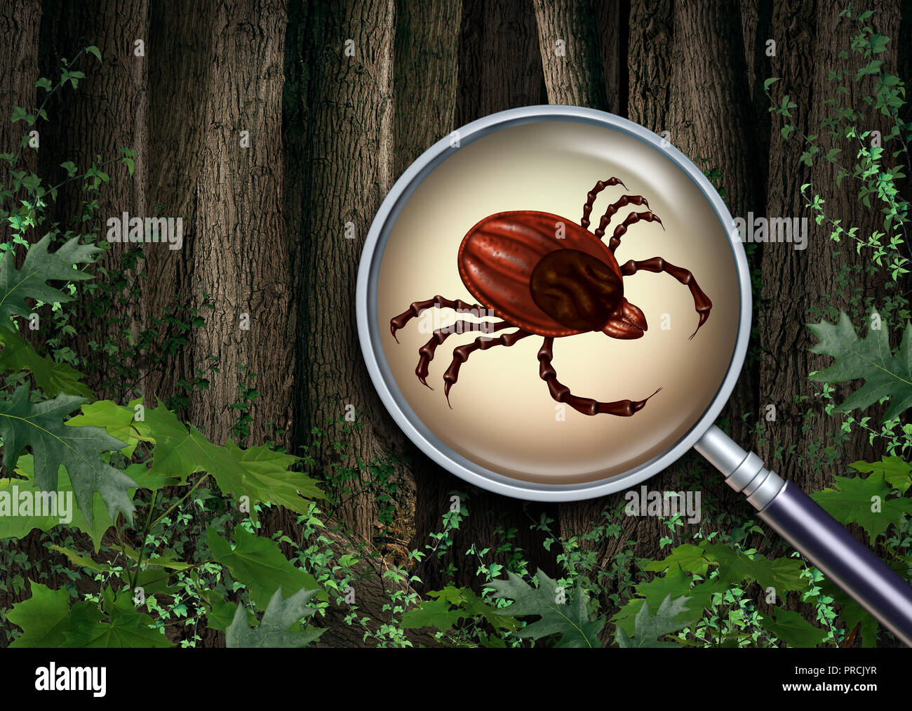 Zecken Wald Warnung als eine Nahaufnahme von einer unheimlichen Krankheit carrier Bug als eine Gefahr für die Lyme Krankheit in der Wildnis mit 3D-Illustration Elemente. Stockfoto