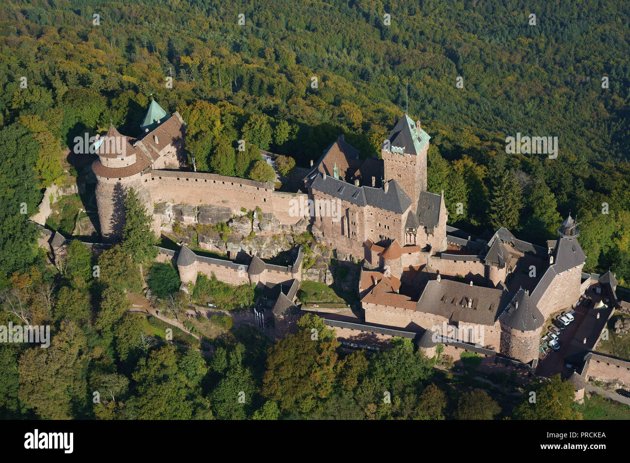 LUFTAUFNAHME. Rosa Sandstein mittelalterliche Burg auf einem bewaldeten Berggipfel. Burg Haut-Koenigsbourg, Orschwiller, Bas-Rhin, Elsass, Grand Est, Frankreich. Stockfoto