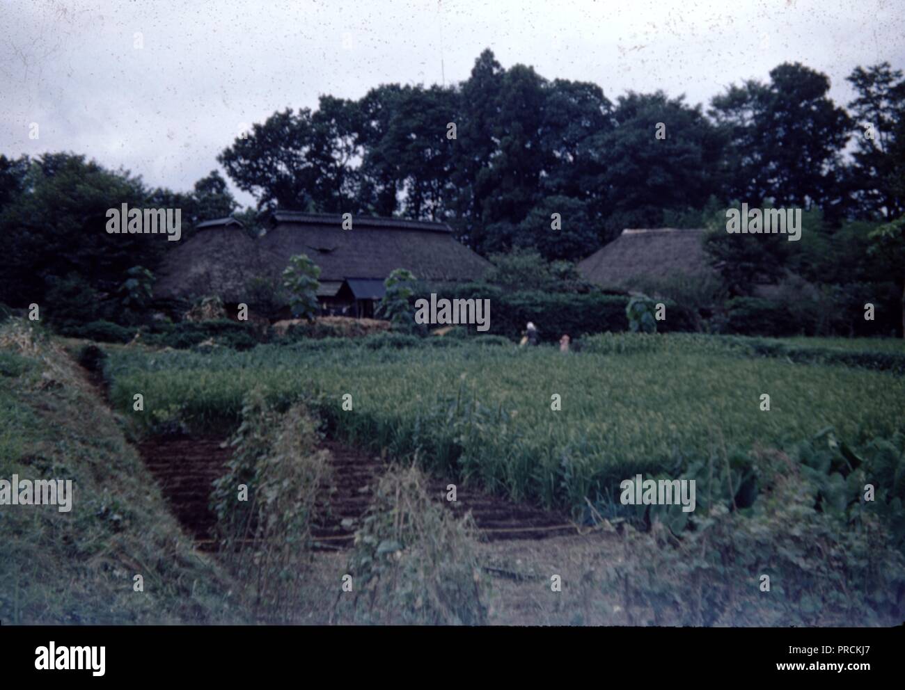 Jahrgang, authentische Archivierung Foto, 1965. () Stockfoto