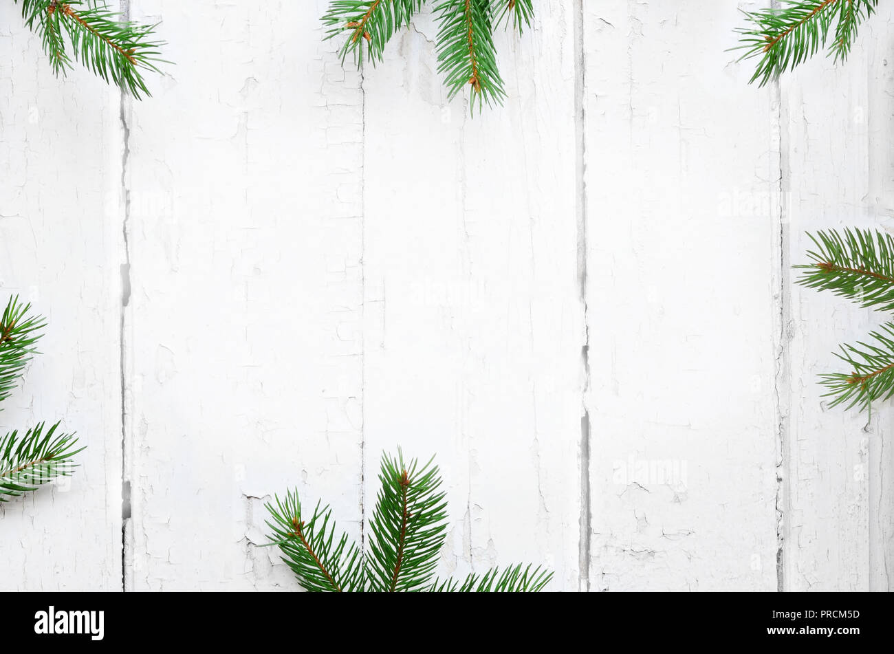 Tanne Zweig auf alte, schäbige Hintergrund mit Kopie Platz für Text. Weihnachten Stockfoto