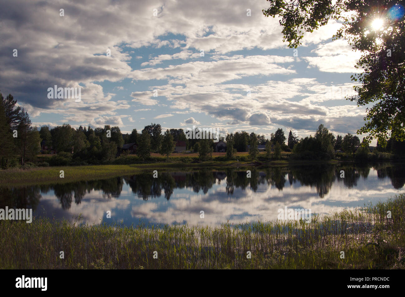 Blick auf einen See im Sommer im Gargnäs in Schweden. Stockfoto