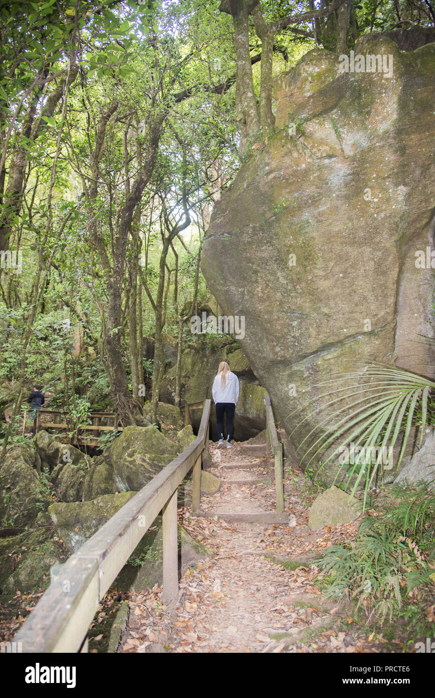 Kawakawa, North Island, Neue Zealand-December 18,2016: touristische Fuß Martha's Spur durch die üppigen Regenwald und Felsformationen in Kawakawa. Stockfoto