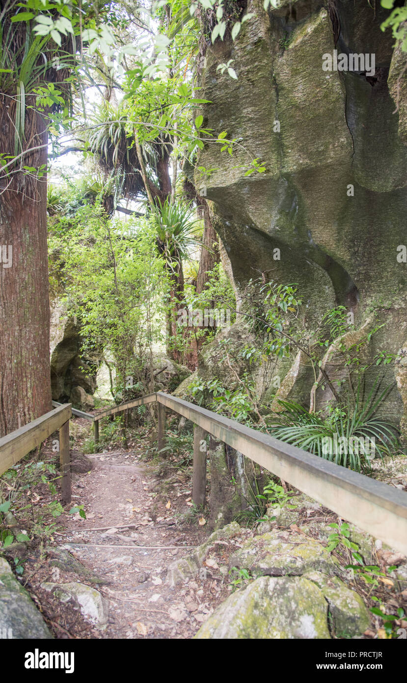 Martha's Track mit üppigen Regenwald und Kalkstein Felsformationen in Kawakawa, Neuseeland Stockfoto