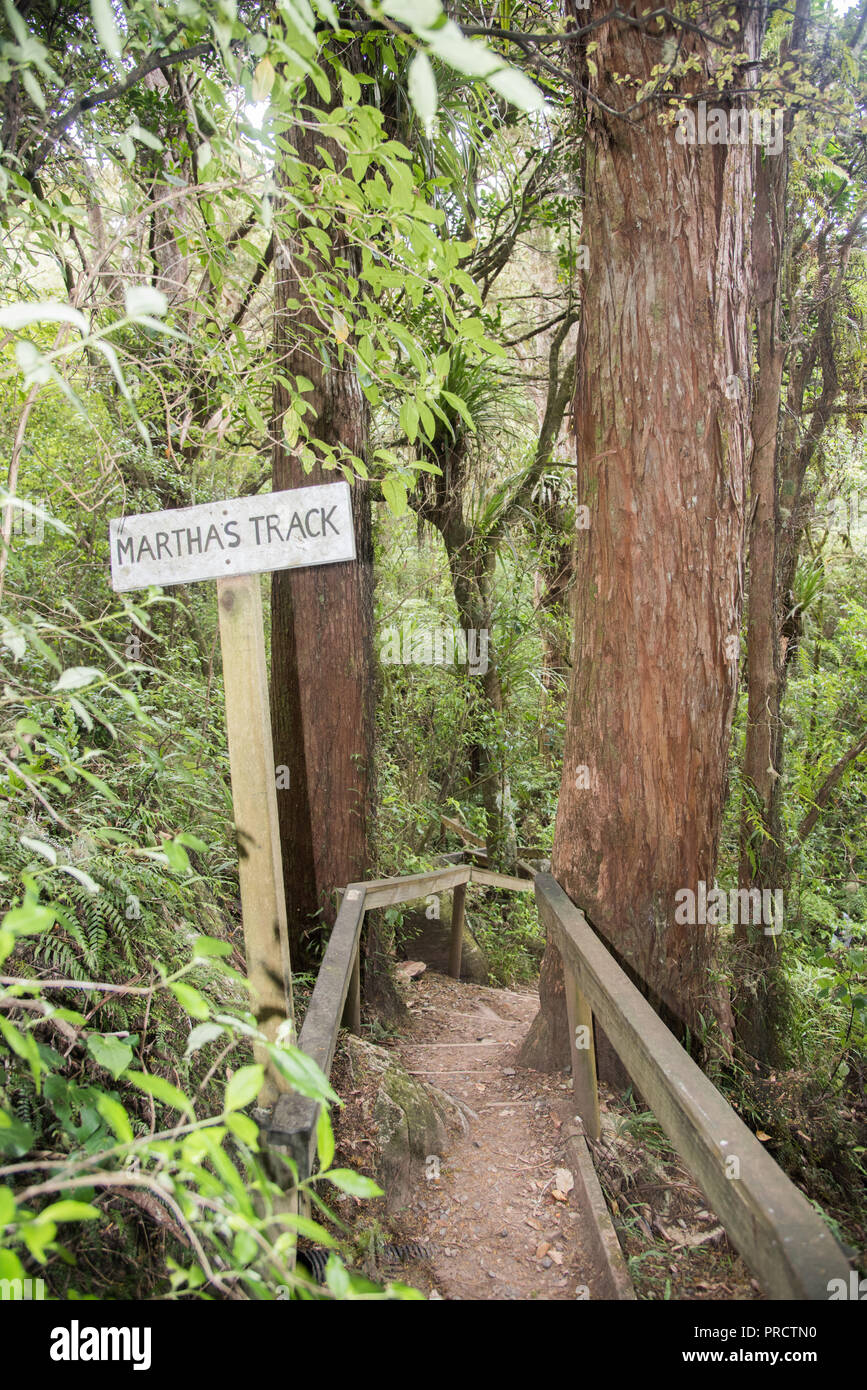 Martha's Track mit Wegweiser im üppigen Regenwald in Kawakawa, Neuseeland Stockfoto