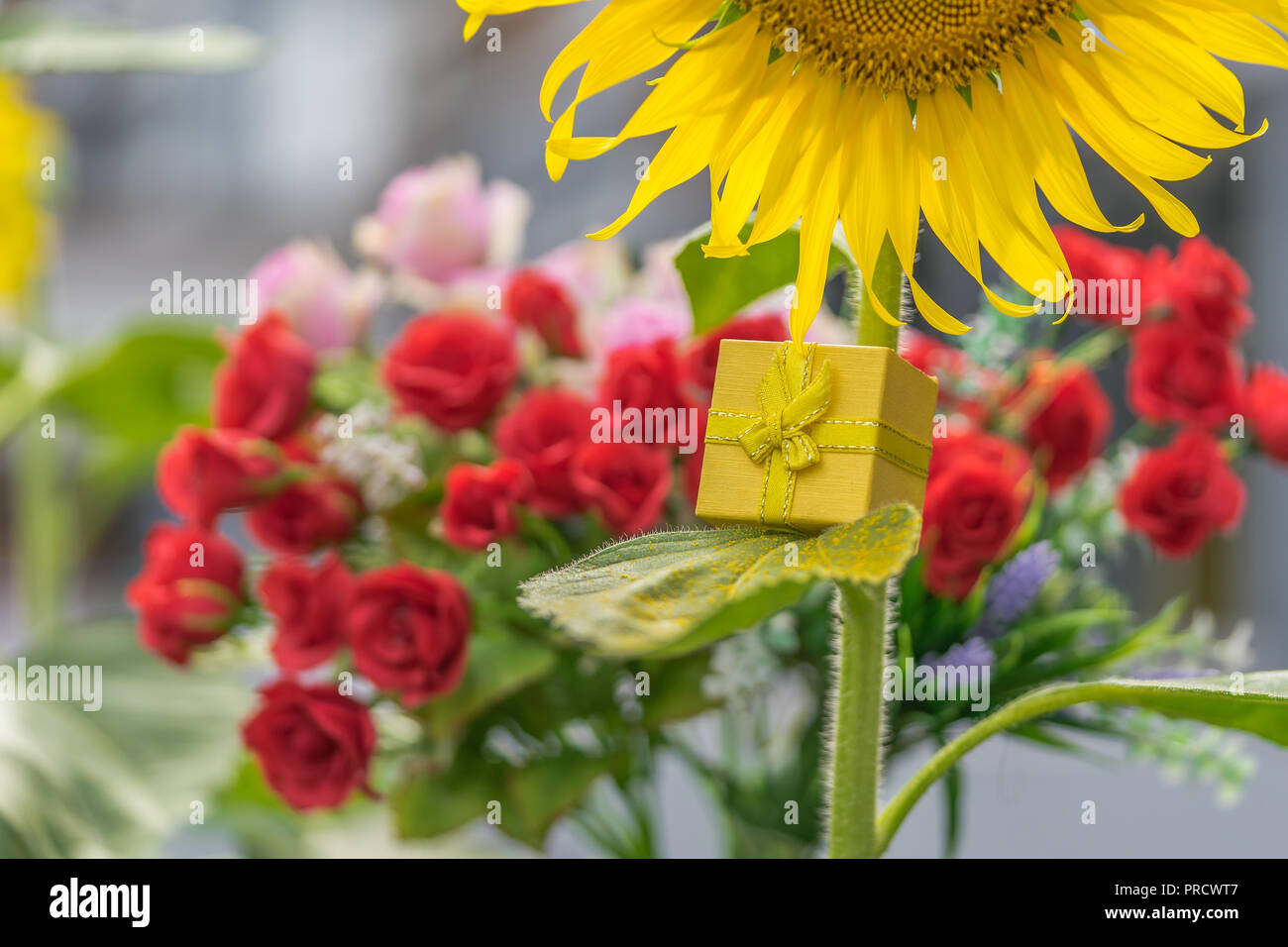 Eine Sonnenblume mit einem goldenen Geschenk, konzeptuelles Bild. Stockfoto