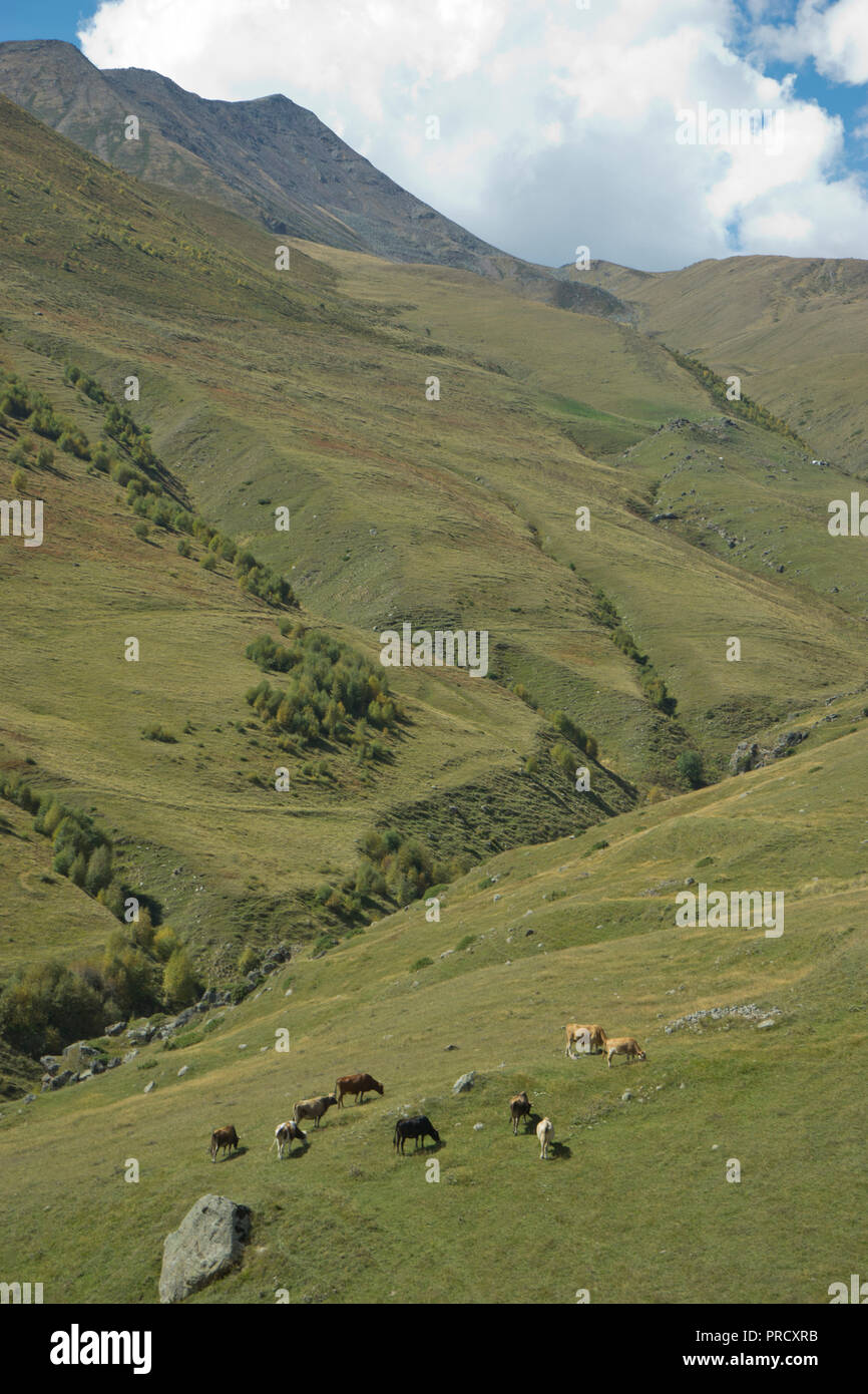 Blick auf die Region in der Nähe der Kirche der Heiligen Dreifaltigkeit Gergeti durch den Fluss Chkheri, unter dem Berg Kazbegi liegt auf einer Höhe von 2170 Metern in den Kaukasus, Georgien Stockfoto