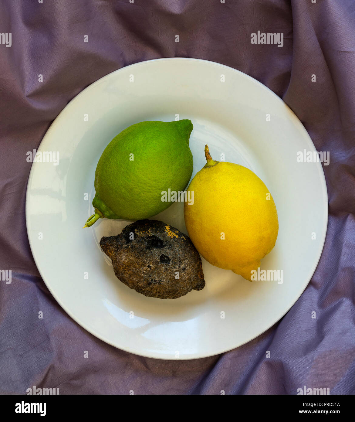 Drei Zitronen auf eine einfache weiße Platte: Eine reife, gelbe Zitrone, eine grüne Zitrone, und einem dunklen verfallenen Zitrone. Stockfoto