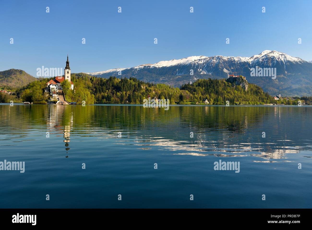 Insel Blejski Otok mit St. Mary's Church, der See von Bled, Karawanken, Bled, Slowenien Stockfoto