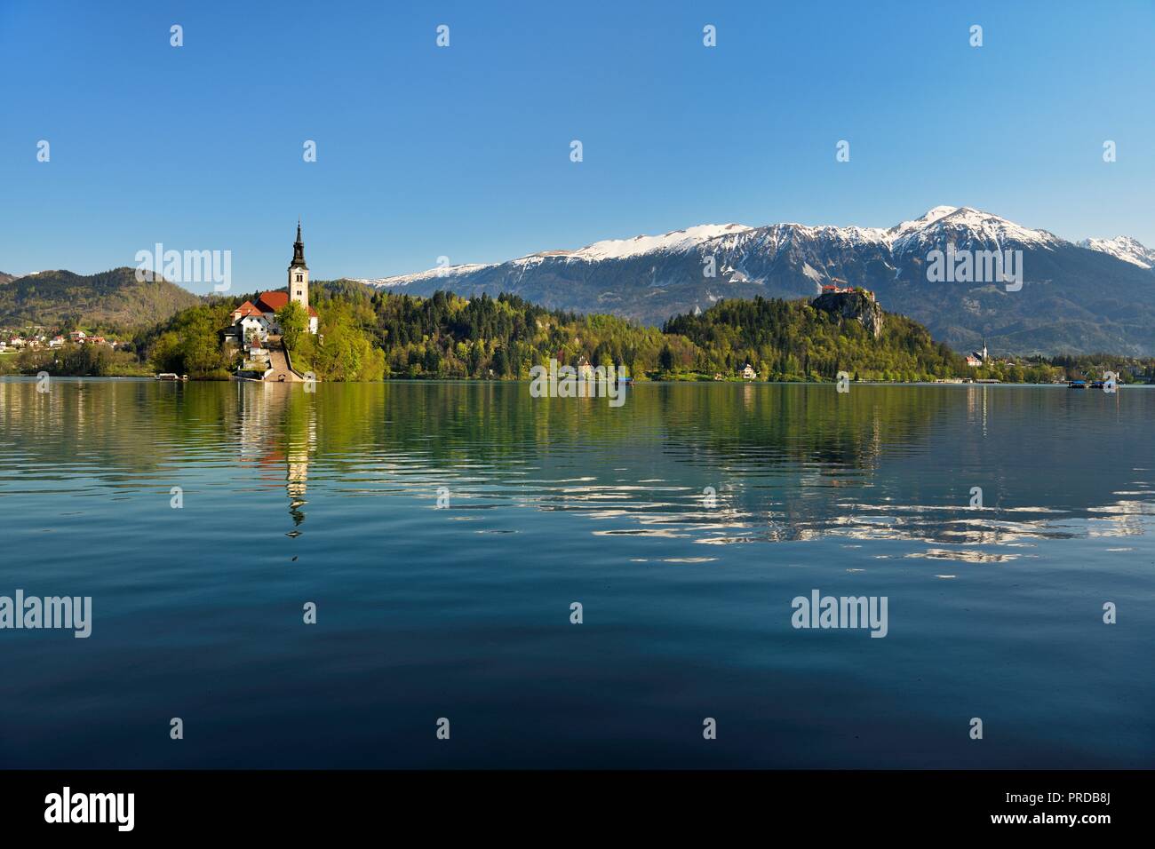 Insel Blejski Otok mit St. Mary's Church, der See von Bled, Karawanken, Bled, Slowenien Stockfoto