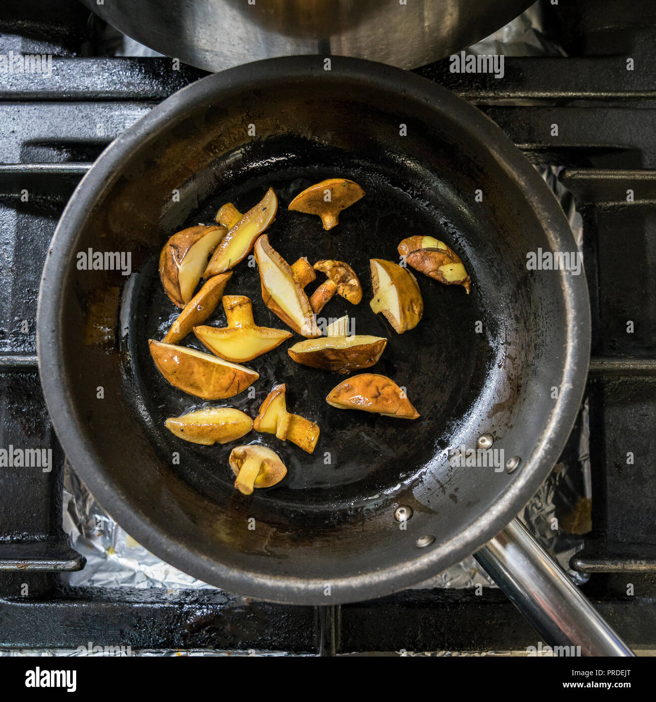 Frische organische Isländischen lärche Pilze, Island Stockfoto