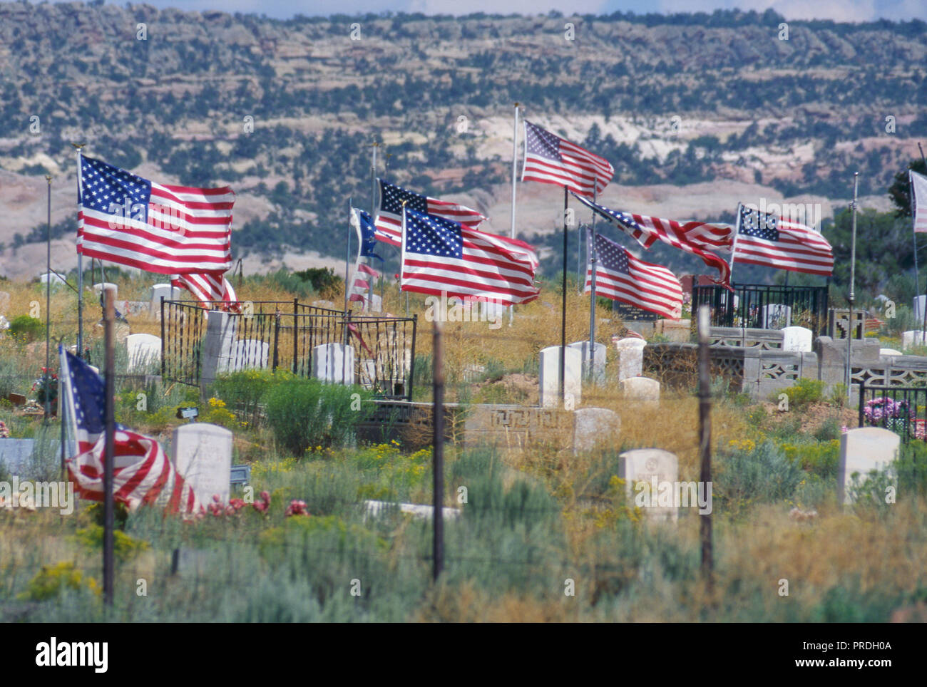 US-Flaggen auf Gräber Navajo Veterans', Window Rock, Arizona. Foto Stockfoto