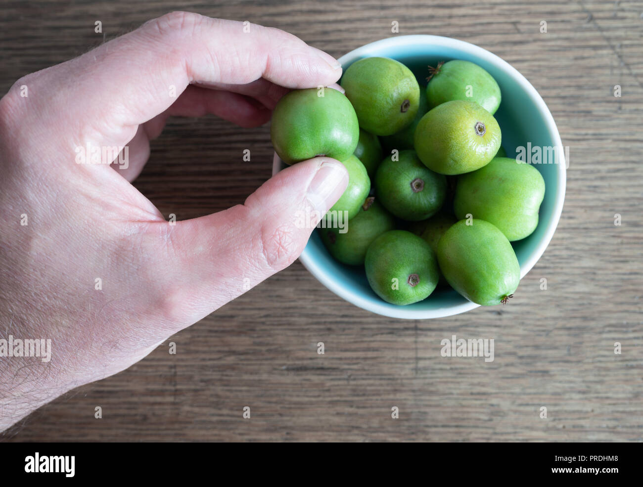 7/8 Handpflückung hardy Kiwi oder kiwi Berry aus Keramik Schüssel auf dem Tisch Stockfoto