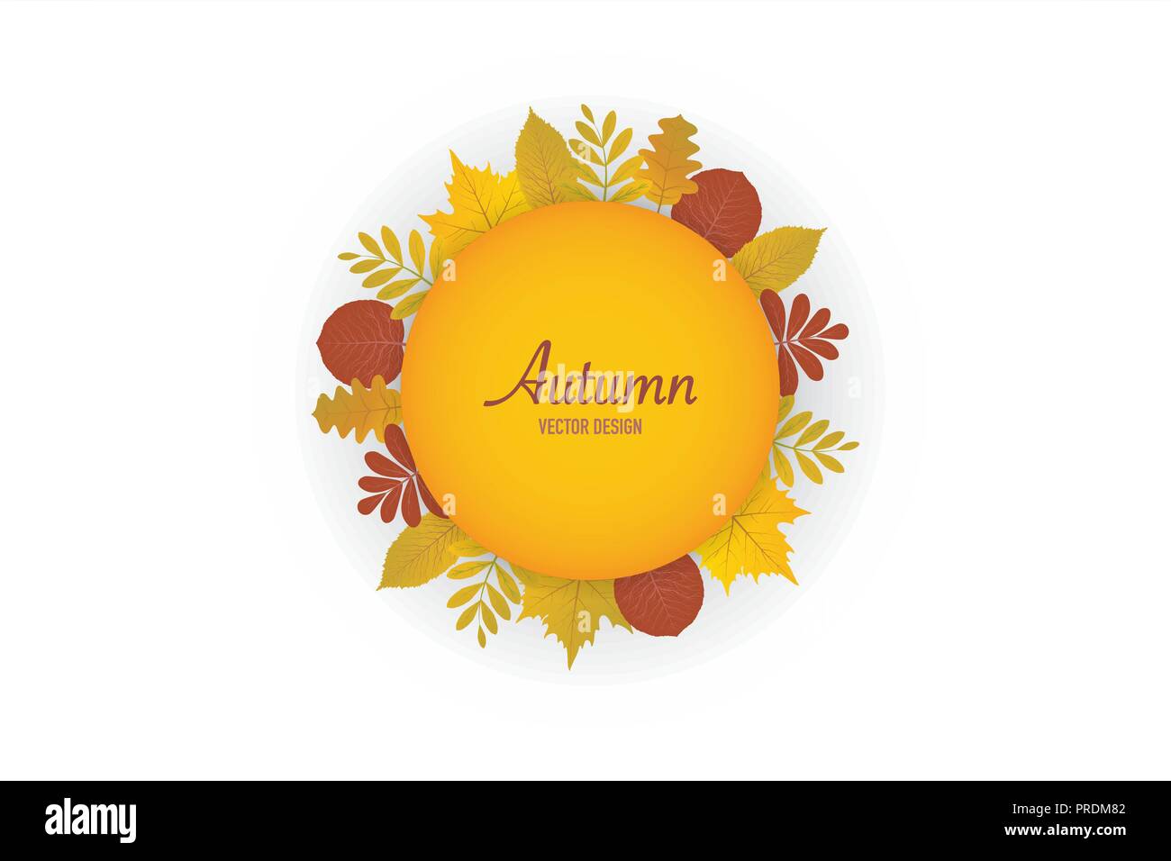 Herbst Blätter weißen Hintergrund, Vektor, Abbildung: eps-Datei Stock Vektor