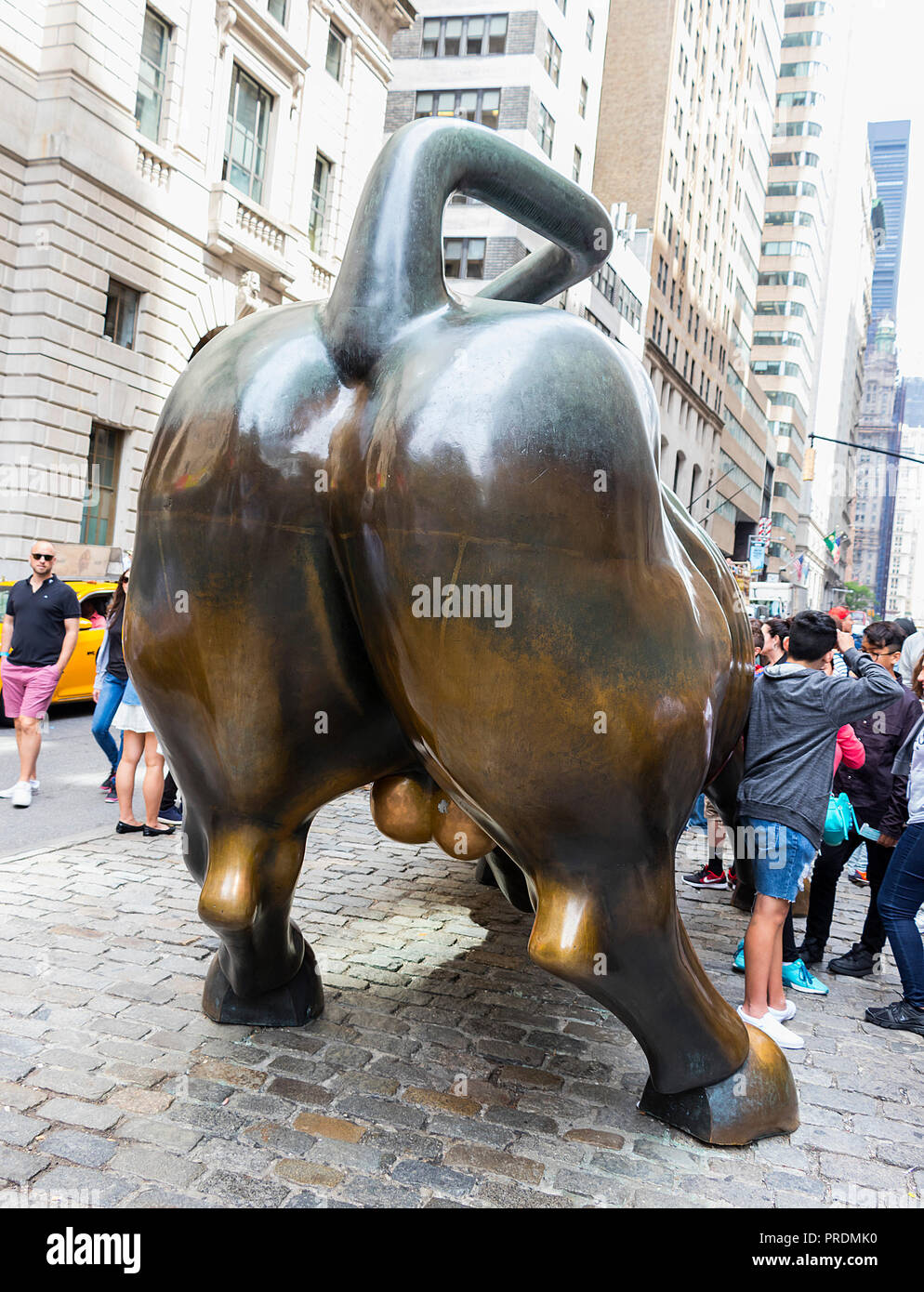 New York City, USA - Juni 8, 2017: Ansicht der Rückseite des wütenden Stier Stockfoto