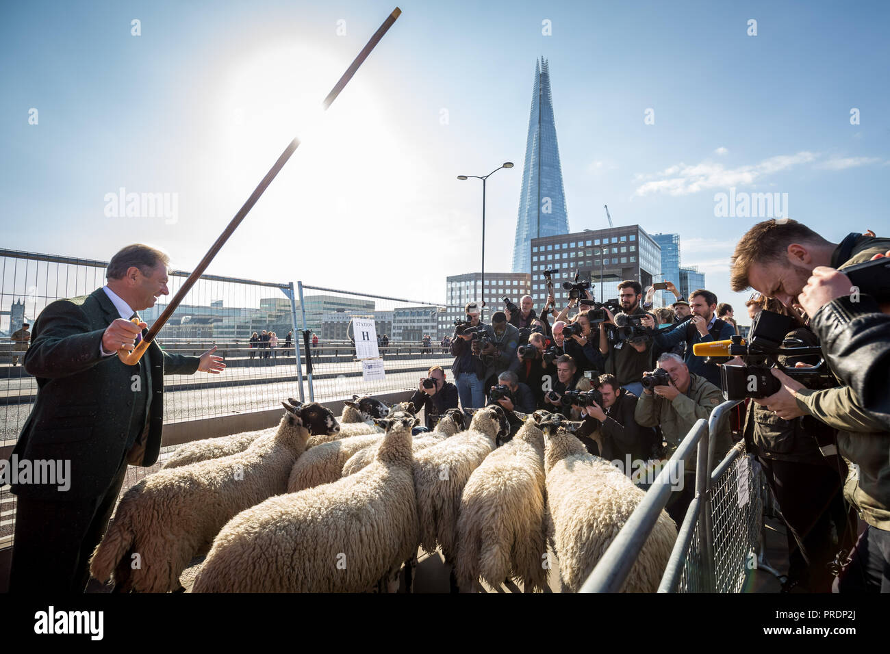 London, Großbritannien. 30. September 2018. Jährliche Schafe fahren Sie über London Bridge. Credit: Guy Corbishley/Alamy leben Nachrichten Stockfoto