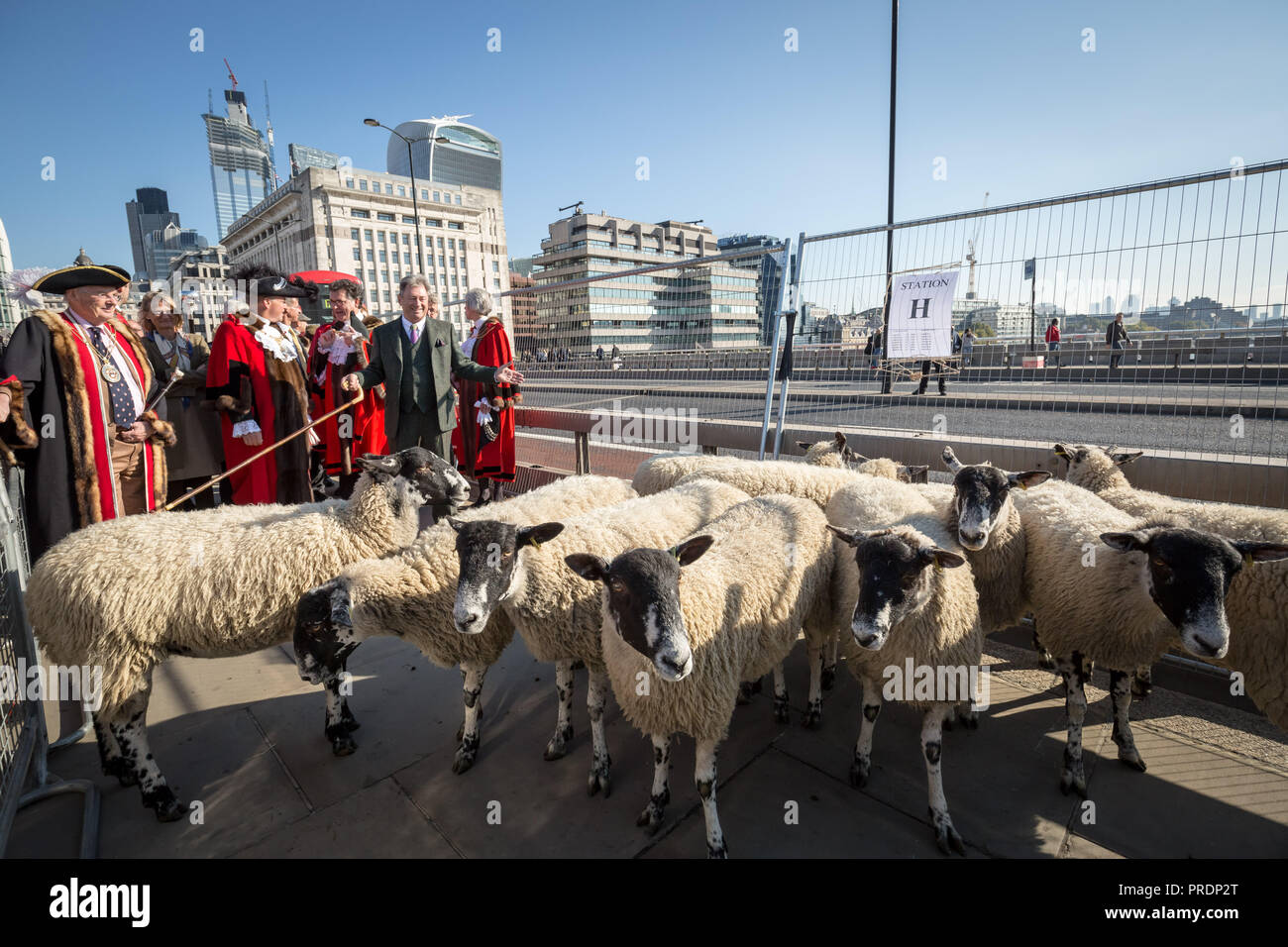London, Großbritannien. 30. September 2018. Jährliche Schafe fahren Sie über London Bridge. Credit: Guy Corbishley/Alamy leben Nachrichten Stockfoto