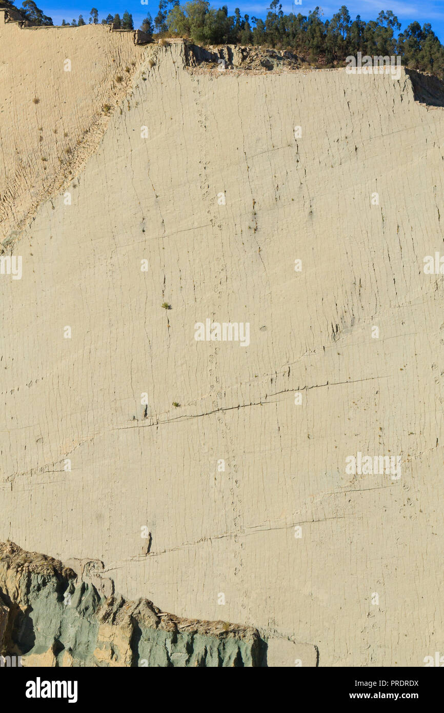 Cal Orcko paläontologischen Ort, Bolivien. Dinosaurier Fossilien Footprints Stockfoto