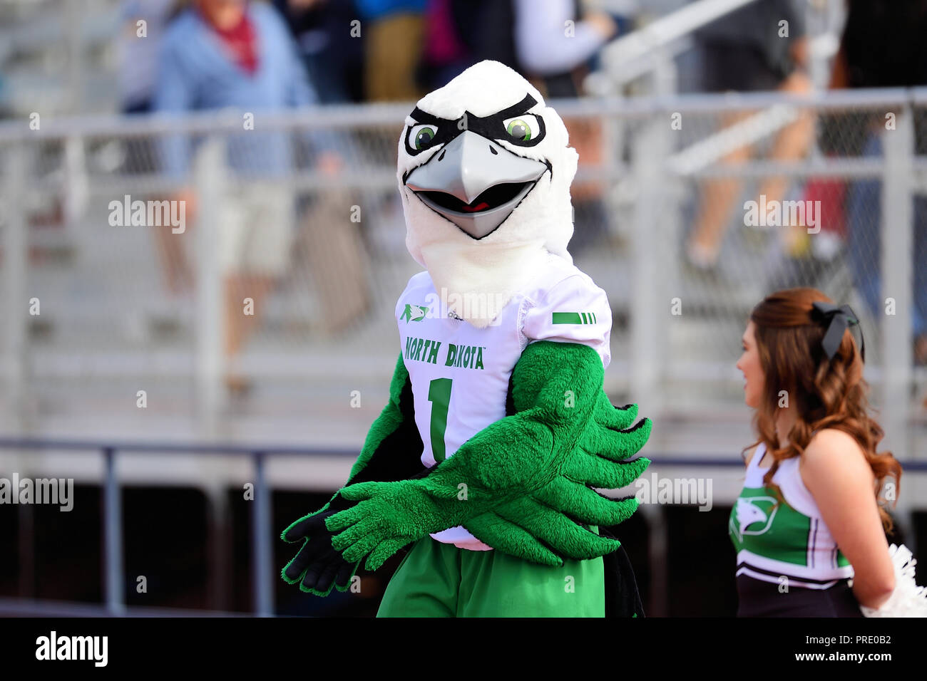 Greeley, CO, USA. 29 Sep, 2018. Von der Universität von North Dakota kämpfenden Falken Maskottchen während der NCAA FCS Fußballspiel zwischen der North Dakota Kampf gegen die Falken und die Nordkolorado Bären in Nottingham Feld in Greeley, CO.North Dakota besiegte Nordkolorado 38 bis 13. Russell Hons/CSM/Alamy leben Nachrichten Stockfoto