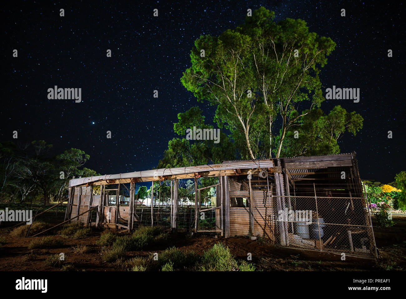 Abgebrochene Scheren unter Sternenhimmel im Fraser Range Station Western Australia vergossen Stockfoto