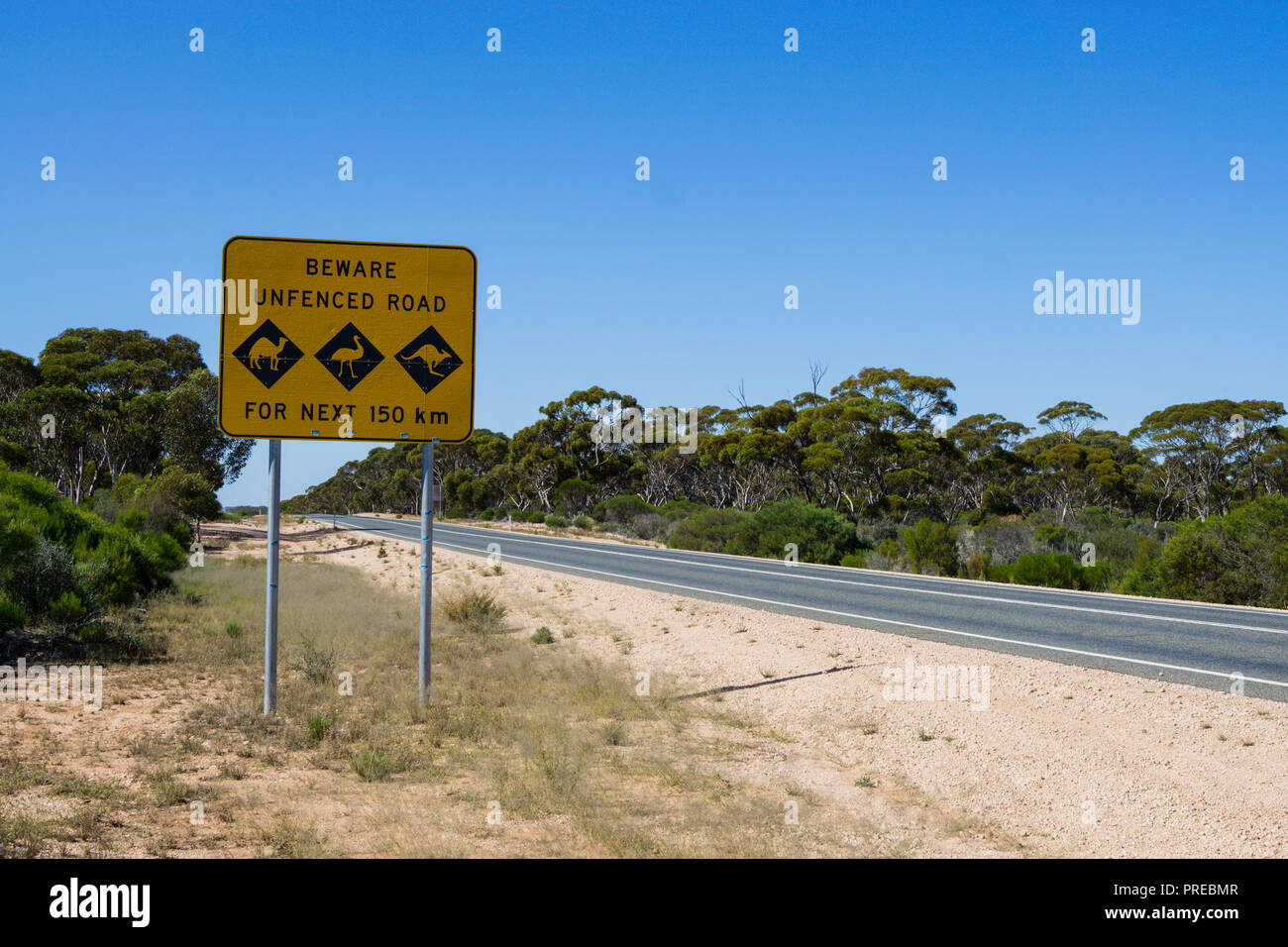 Vorsicht vor Lager Straße Warnzeichen auf der Eyre Highway, Nullabor Plain, Cocklebiddy Western Australia Stockfoto