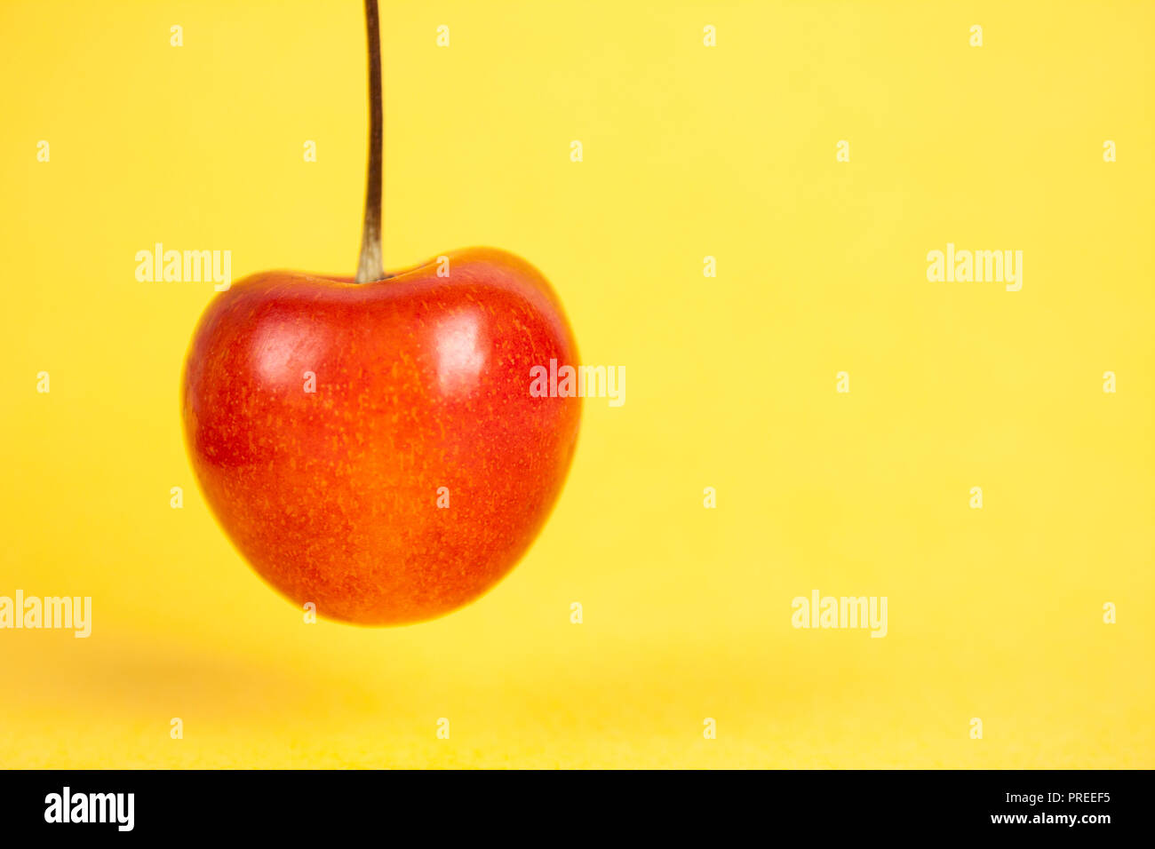 Red Cherry hängen auf gelbem Hintergrund Stockfoto