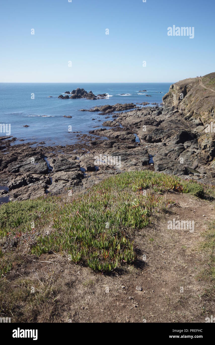 Lizard, Cornwall Stockfoto