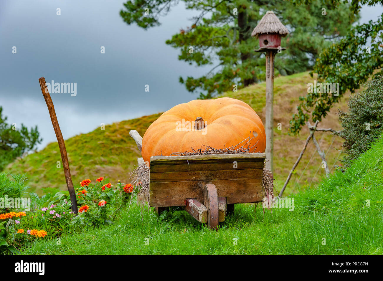 Alte hölzerne Schubkarren, ein riesiger Kürbis legt auf einer Wiese mit großen Bäumen und einem niedlichen Vogel Haus im Hintergrund. Stockfoto