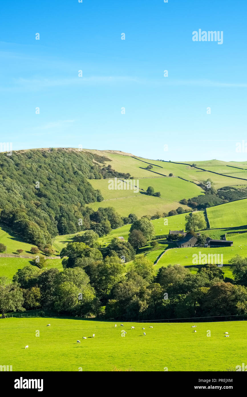 Hügel und Felder in der Nähe von Rainow in Cheshire, Peak District National Park Stockfoto