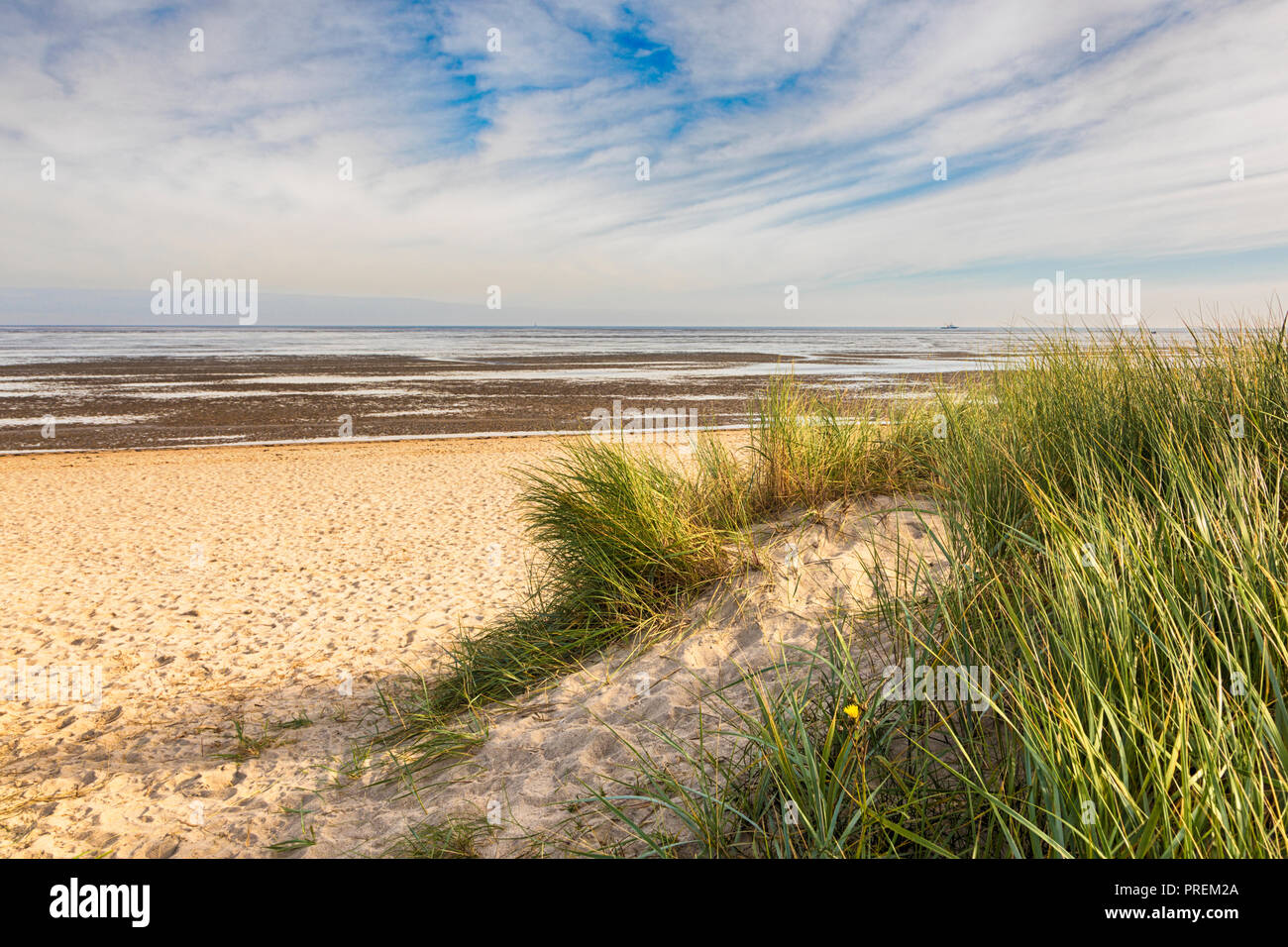 Dünen an der Nordsee strand von Schillig, Deutschland. Wattenmeer an der Mastercraft. Stockfoto