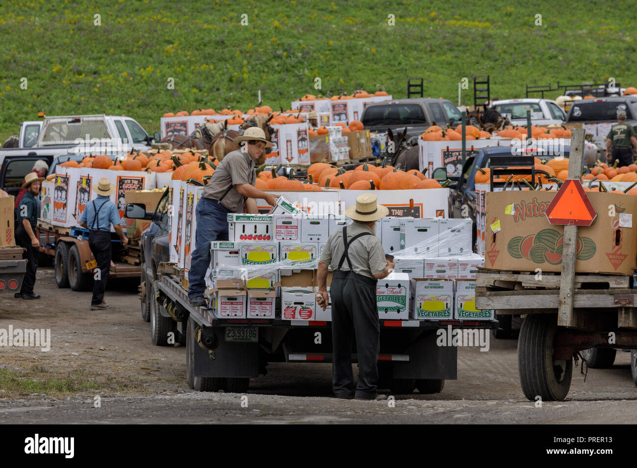 Minden, Mohawk Valley, New York State: Herbst Ernte Kürbisse sind in von den Meilen herum für die Amish Farm Auktion produzieren Lastwagen. Stockfoto