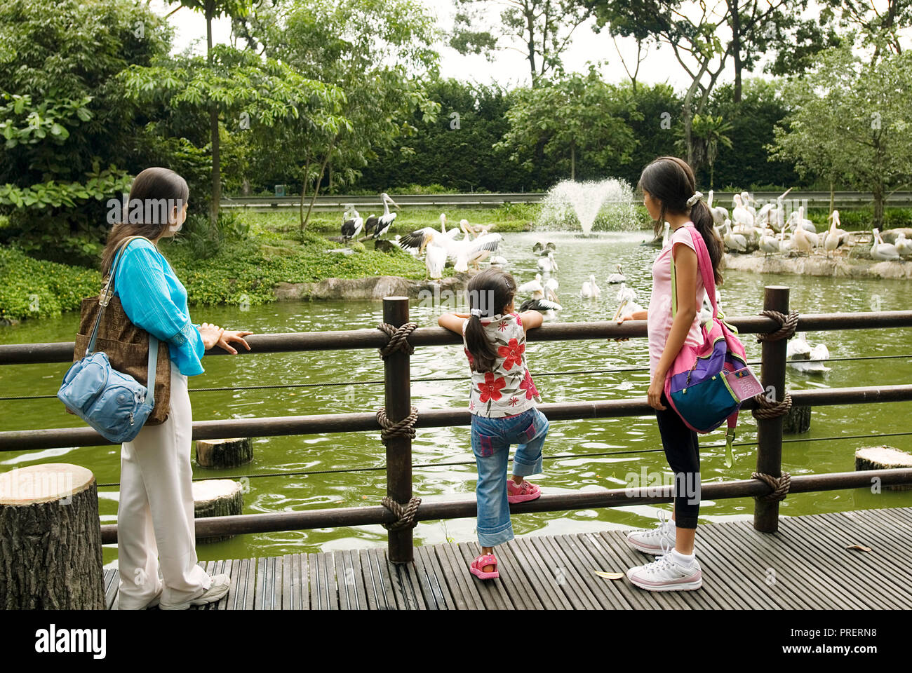 Zwei junge Touristen WATHCING PELIKANE AM PELICAN TEICH AM Jurong Vogel Park, Singapur Stockfoto