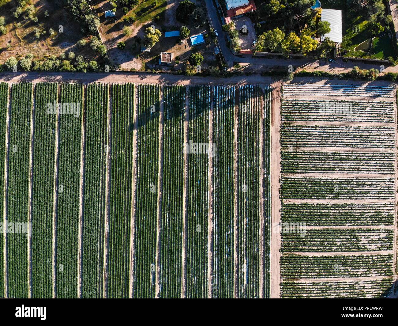 Vista aérea de San Pedro El Saucito. Comunidad dedicada a la agricultura y Ganadería. (Foto: Luis Gutierrez/NortePhoto.com) Stockfoto