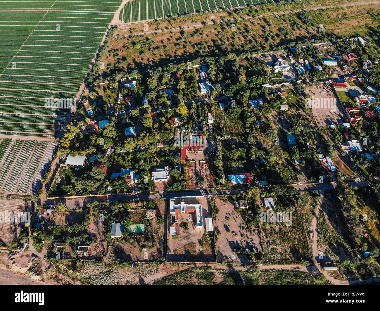 Vista aerea de terrenos campestres en San Pedro El Saucito. Comunidad dedicada a la agricultura y Ganadería. (Foto: Luis Gutierrez/NortePhoto.com Stockfoto